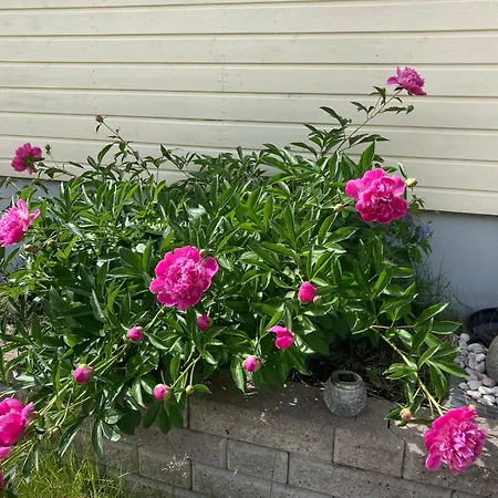Cozy With Outside Jacuzzi And Sauna